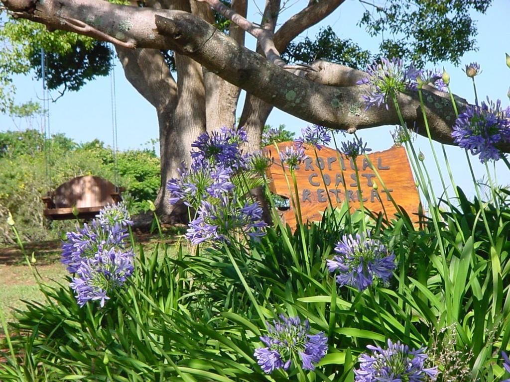 킹스클리프 Tropical Coast Retreat - Pet Friendly - Adult Only 게스트하우스 외부 사진