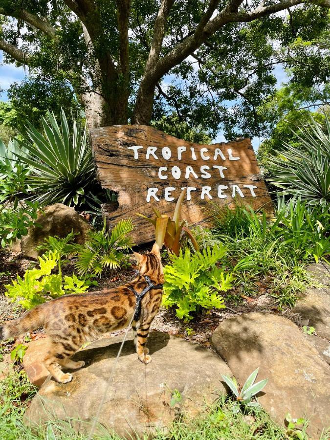 킹스클리프 Tropical Coast Retreat - Pet Friendly - Adult Only 게스트하우스 외부 사진