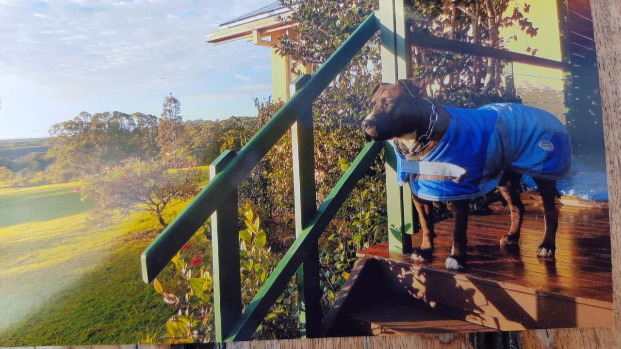 킹스클리프 Tropical Coast Retreat - Pet Friendly - Adult Only 게스트하우스 외부 사진